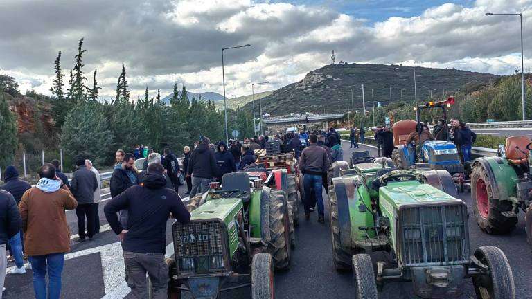 Agrotes apergia ethniki odo