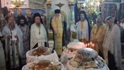 Despotas mitropolitis timia zoni toirintha