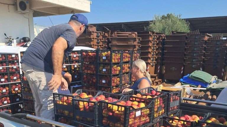 Frouta dimos argoys