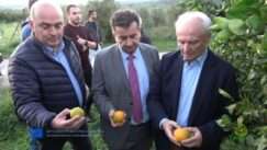 Sideris maltezos andrianos