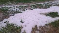 Xalazoptosi argolida