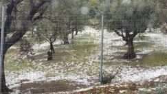 Ισχυρή Χαλαζόπτωση και Έντονη Βροχόπτωση Σημειώθηκαν Σήμερα Δευτέρα το Πρωί Βόρια της Αργολίδας, ειδικότερα στα Φίχτια, Προκαλώντας Προβλήματα και Ανησυχία στους Κατοίκους!